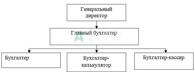 Реферат: Особенности бухгалтерского учета и налогообложения санаторно-курортных организаций